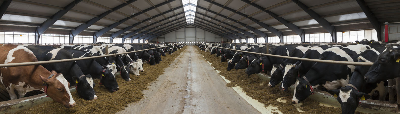 Farmide projekteerimine ja ehitus